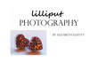Lilliput Photography. West Midlands Wedding Photographer